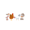 Chicken Gifts Chicken Owner