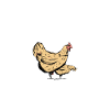 Chicken Gifts Chicken Owner