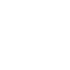 Vegan Veggie