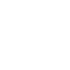 Vegan Veggie