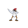 Chicken Gifts Chicken Owner