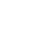 Painter varnisher brush