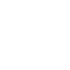 Painter Varnisher Funny