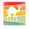 Dromedary Retro