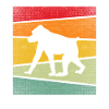 Singe Rétro