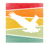 Eagle Retro