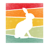 Rabbit Retro