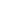 Violon Violoniste Violon