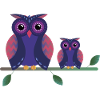 Cute owls