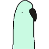 Perruche