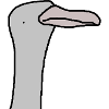 Ostrich