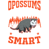 Opossum Gift Possum Marsupial