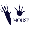 DOG CAT PET Mouse