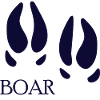 DOG CAT PET BOAR