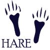 HARE PAW DOG CAT PET