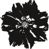 black flower