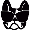 French Bulldog Wearing Sunnies