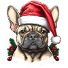 Bouledogue pull moche noël