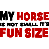 small horse