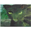 schwarze Katze