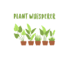 Plantes vertes