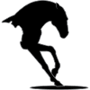 Pferd