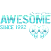 Awesome since 1992 Gift