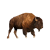 Bison - LowPoly