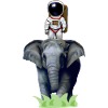 Astronaut on elephant adventure