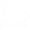 Katze