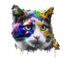 Artistic Cat