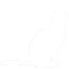 Hexen Katze