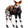 Okapi sucré