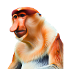 Le singe proboscis exotique