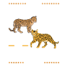 Leopard i Bengals kropp amerikansk kattras
