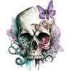Skull