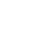 Dimetrodon fossil skull