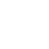 Dimetrodon fossil skull