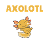 Axolotl Explication Anatomie d’un Axolotl