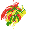 Rasta lion
