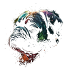 Graffiti Pug