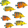 Poissons
