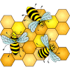 Insects