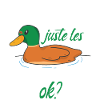 J'aime Juste Les Canards