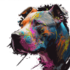 Graffiti Pitbull