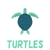 Turtle Owner Gift Turtle Lover