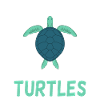 Turtle Owner Gift Turtle Lover