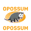 Opossum Cadeau Marsupial Opossum
