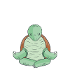 Turtle Owner Gift Turtle Lover