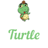Turtle Owner Gift Turtle Lover